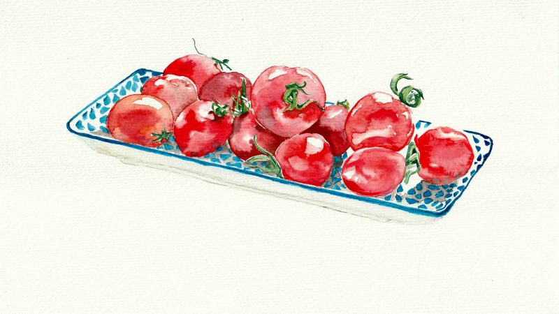 tomaten_aquarelle_watercolour_copyright_kaizhou